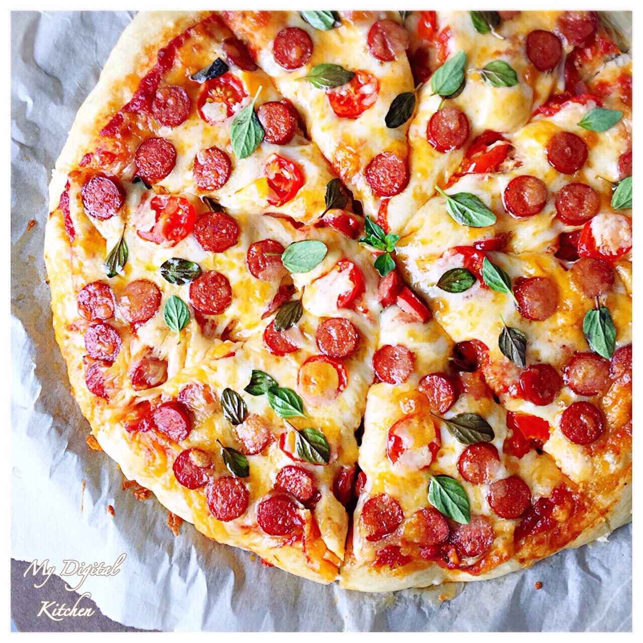SMOKED TURKEY SAUSAGE AND CHEESE PIZZA My Digital Kitchen