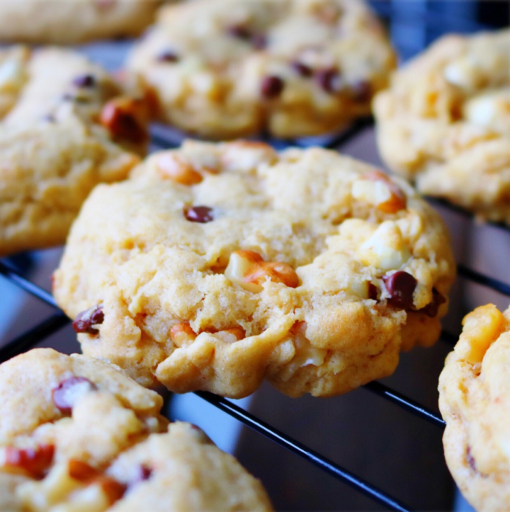 Chocolate Chip Walnut Cookies My Digital Kitchen
